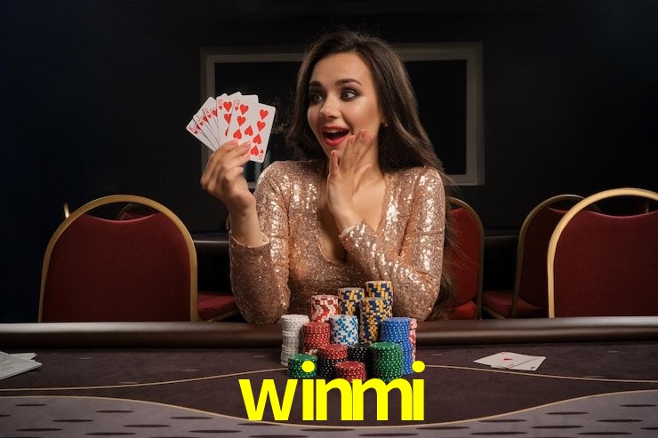Programa VIP winmi